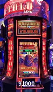 Daily Bonuses 91000