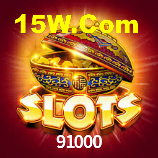 91000 - Installation Guide