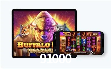 Tecnologia da Plataforma 91000